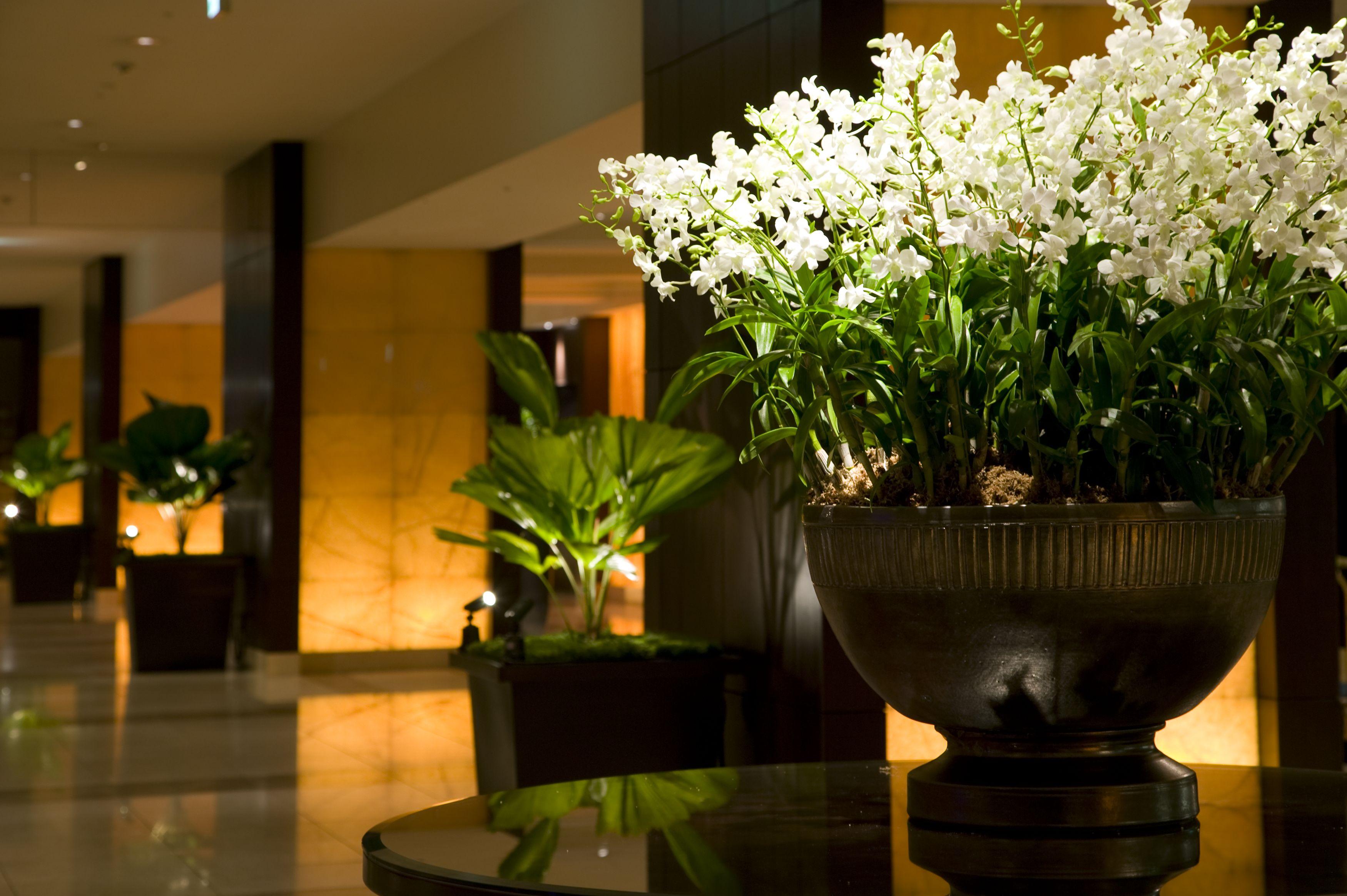 Sheraton Miyako Hotel Osaka Exterior photo